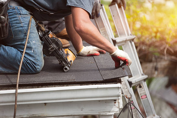 Best Roof Gutter Cleaning  in Bloomingdale, NJ